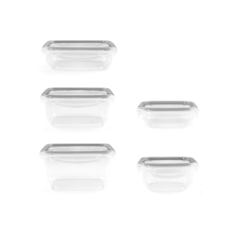 ظرف نگهدارنده  مدل کلیز 300cc