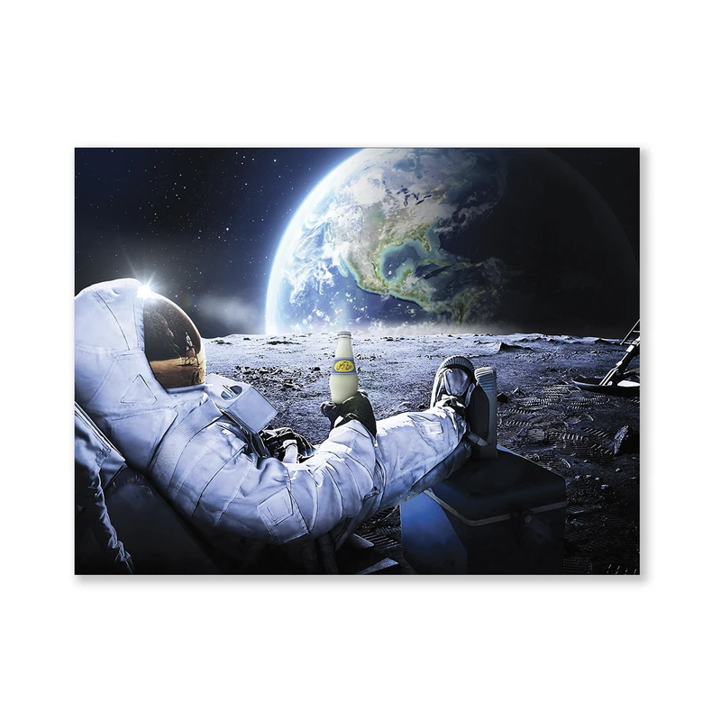 تابلو شاسی مدل فضانورد و دوغ  astronaut & Doogh کد PB 1002 
