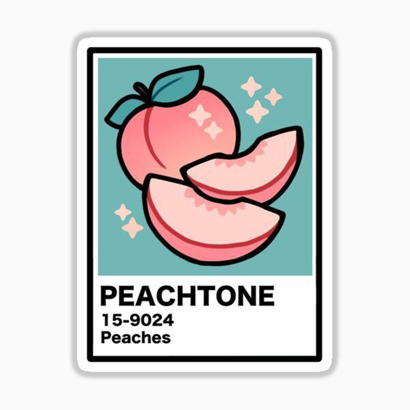 استیکر لپ تاپ و موبایل بووم طرح نقاشی پنتون کد mm15 