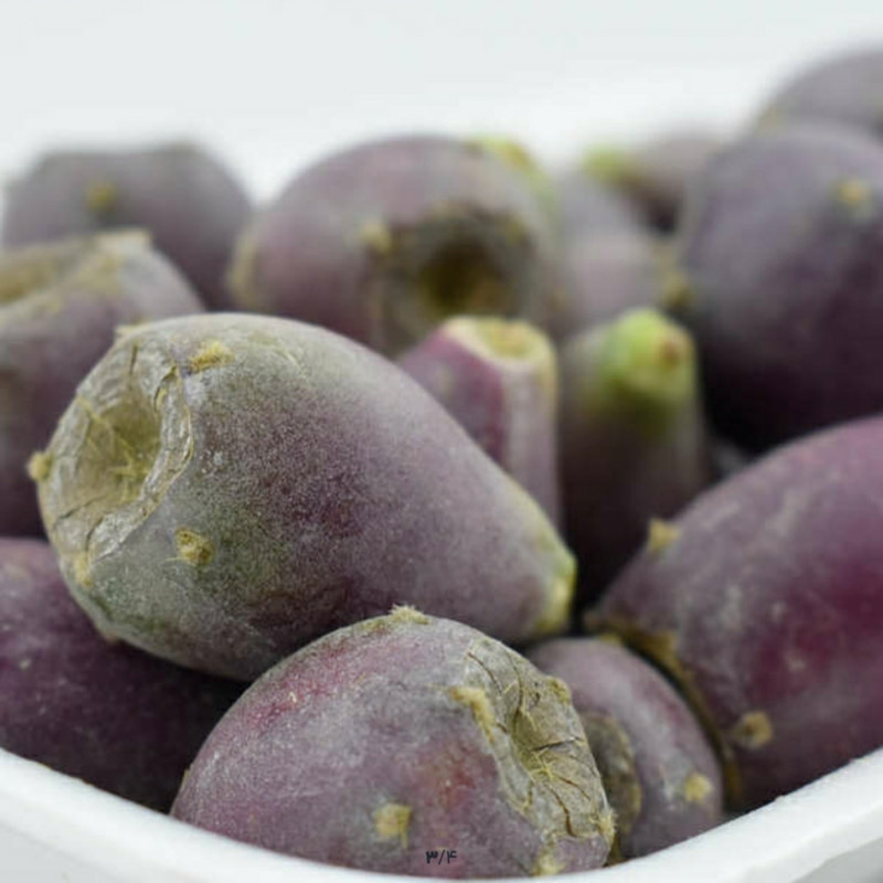 گیاه طبیعی کاکتوس اپونتیا کد 0120