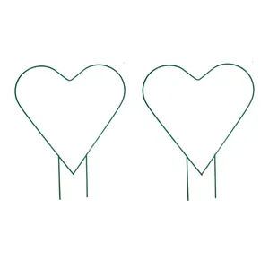 نگهدارنده گیاه مدل قلبی بسته ۲ عددی