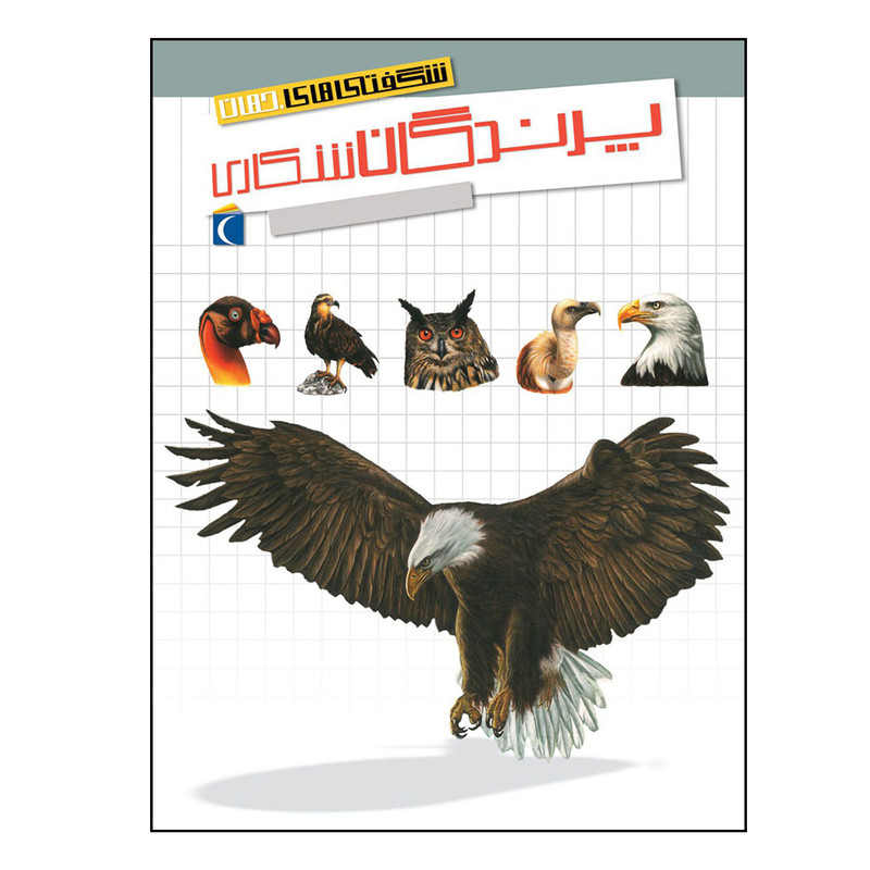 کتاب شگفتی های جهان پرندگان شکاری اثر سابین بوکادور نشر محراب قلم