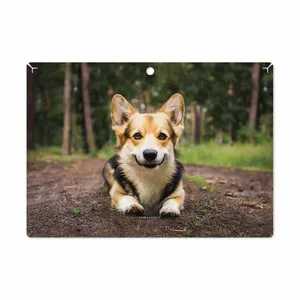 MAHOOT Dog-2 Cover Sticker for Lenovo Miix 320 2017