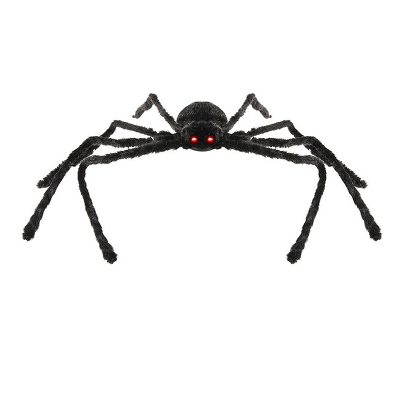 فیگور مدل عنکبوت رتیل پشمی چشم دار