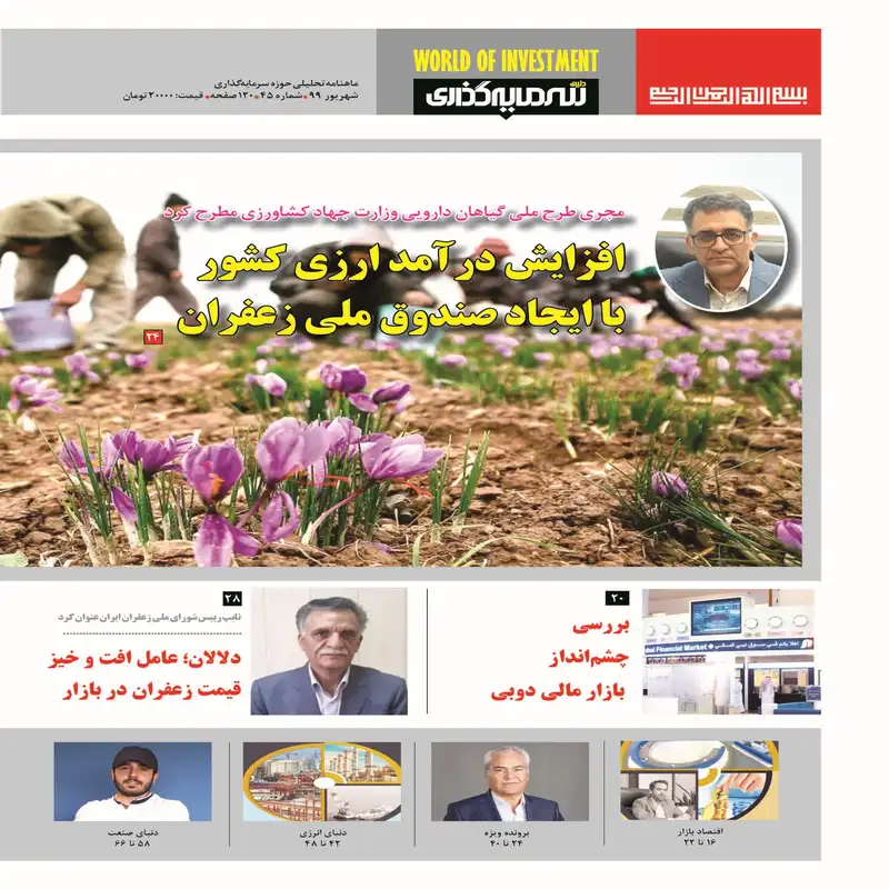 ماهنامه دنیای سرمایه گذاری شماره 45