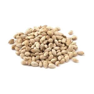 بادام محب ایرانی با پوست خام Fresh وزن 500 گرم