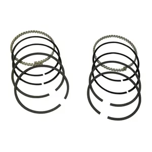 رینگ موتور مدل 372-1DE1004030 مناسب برای ام وی ام 110 سه سیلندر بسته 12 عددی