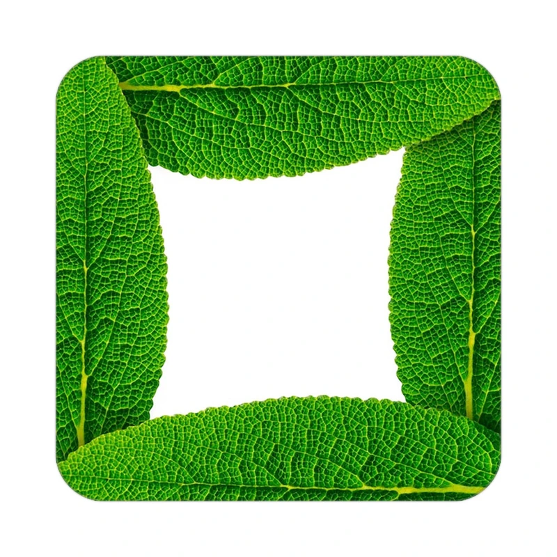 زیر لیوانی کاکتی طرح گل مدل mp17693