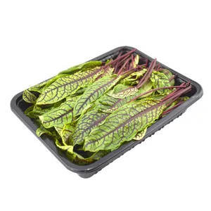 سبزی سورل دیجه یک - 190 گرم