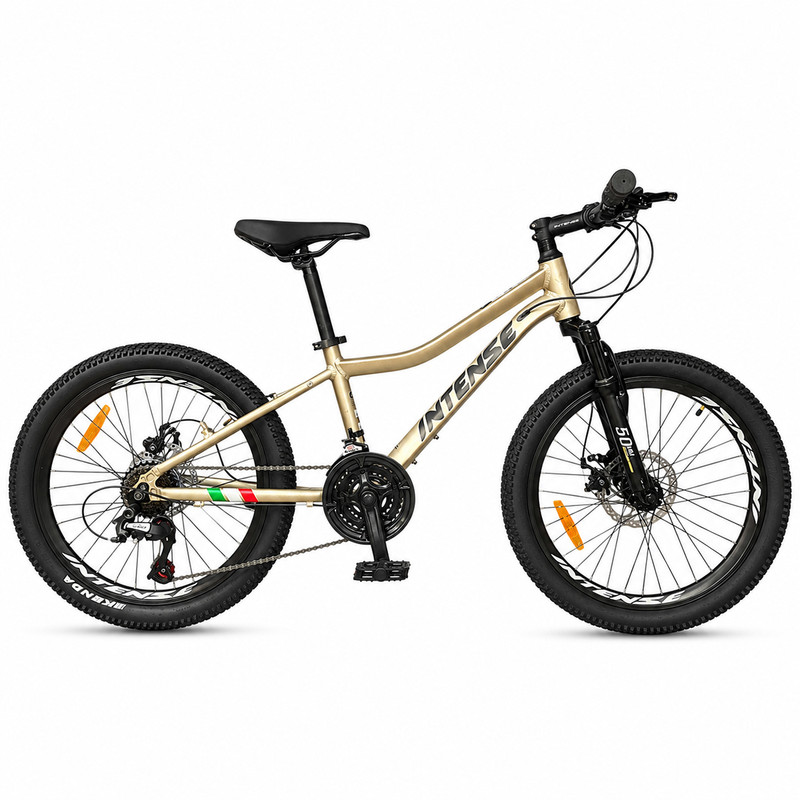 دوچرخه اینتنس مدل Wild Rider سایز 20 کد 2343