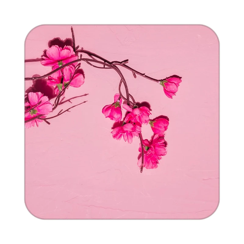 زیر لیوانی کاکتی طرح گل مدل mp18390