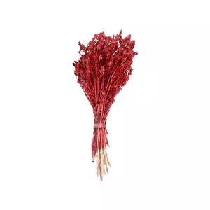 گل خشک مدل جغجغه بوته ای کد 15