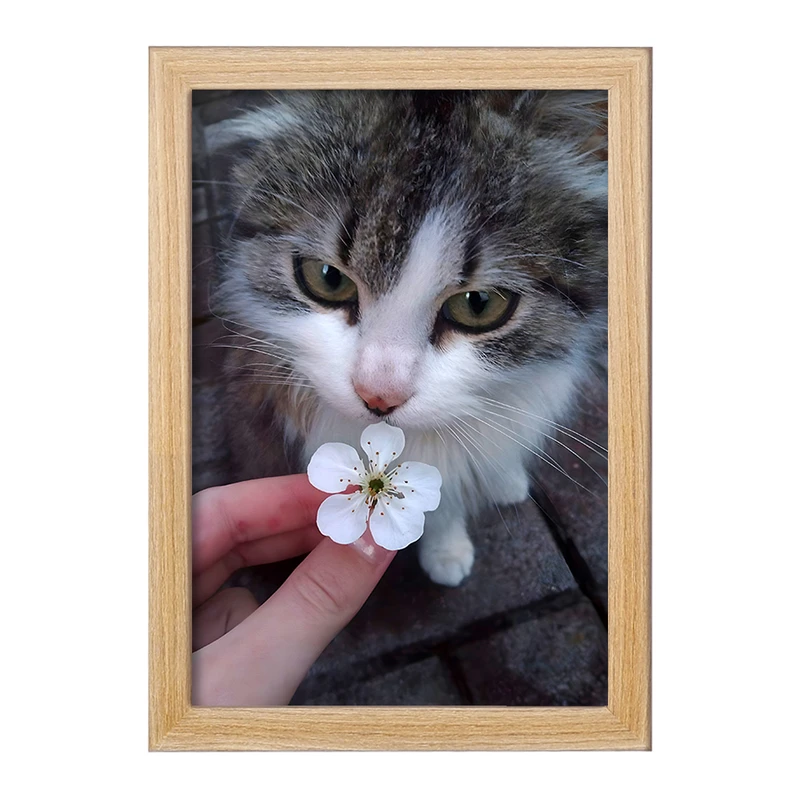 تابلو خندالو مدل گربه (Cat) کد F1321