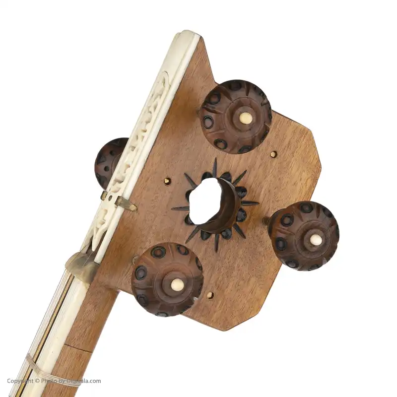 تار آوای مولانا مدل ارشد