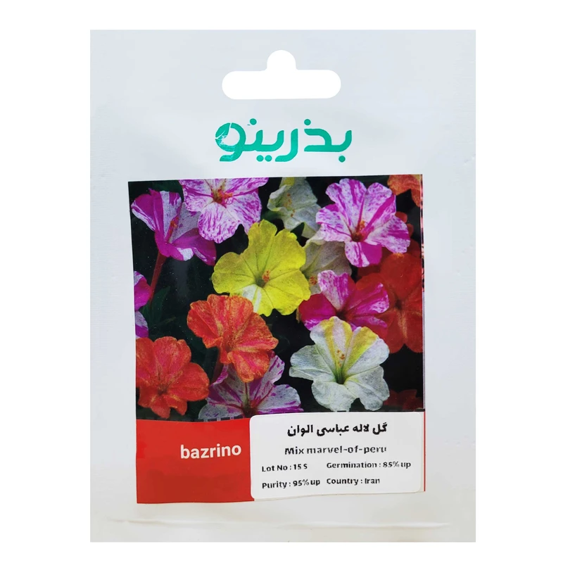 بذر گل لاله عباسی الوان بذرینو کد B-031