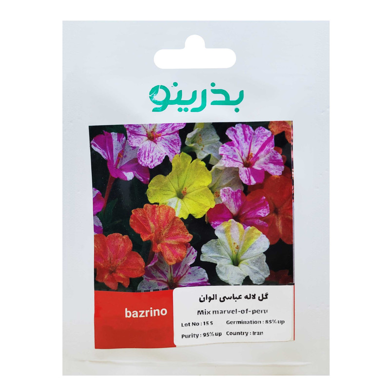 بذر گل لاله عباسی الوان بذرینو کد B-031