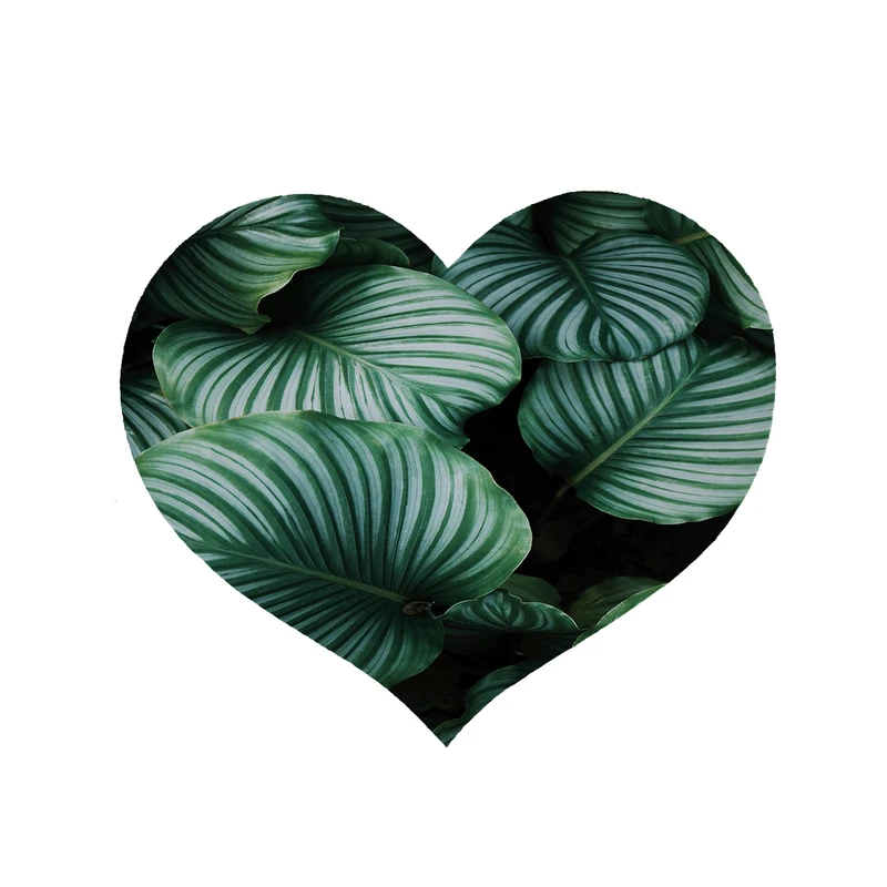 پادری مدل قلب طرح برگ کد 8535 سایز 90 × 90 سانتی متر