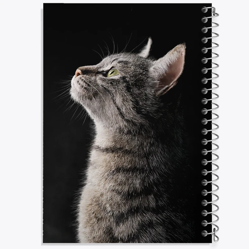 دفتر مشق 100 برگ خندالو طرح گربه (Cat) کد F588