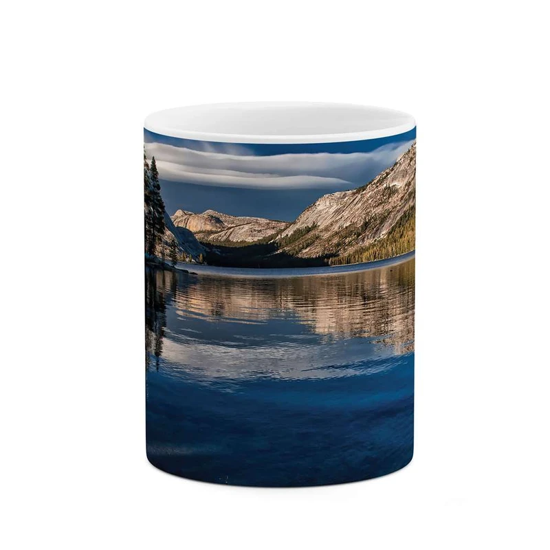 ماگ کاکتی مدل طبیعت کد mgh10127