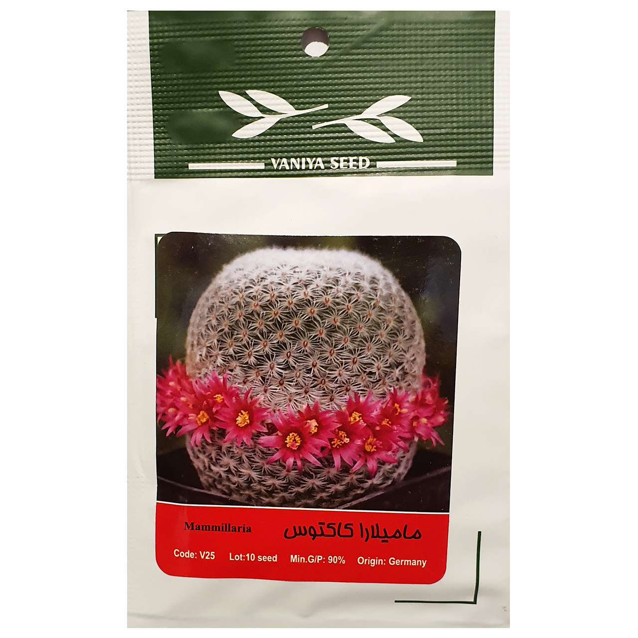بذر مامیلارا کاکتوس وانیا سید مدل A-003
