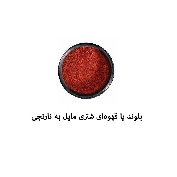 پودر پرپشت کننده مو هونام کد Bl-100 وزن 50 گرم رنگ بلوند شتری تیره بسته 2 عددی