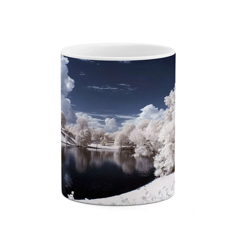 ماگ کاکتی مدل طبیعت برفی کد mgh10774