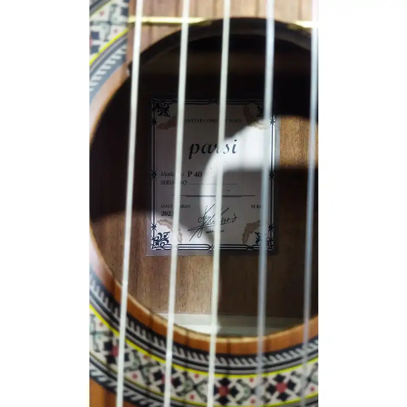 گیتار پارسی مدل P40