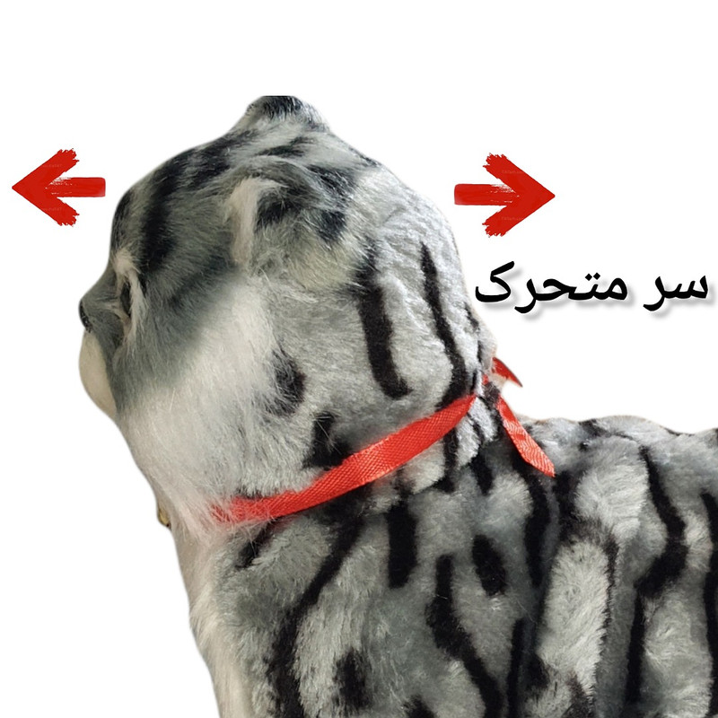 ربات کنترلی مدل گربه کد 45