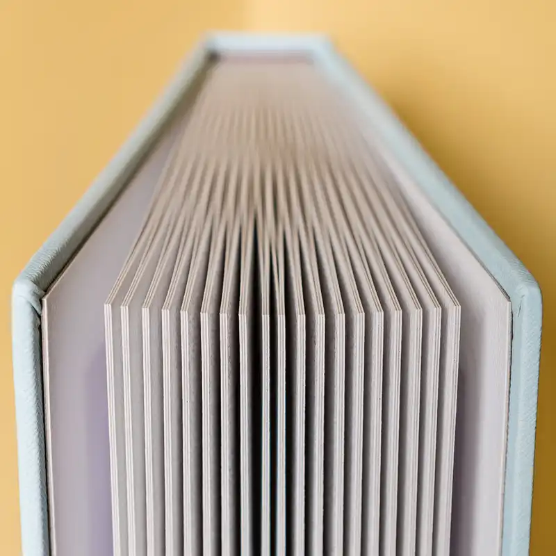 آلبوم عکس کفشدوزک مدل R03F2w