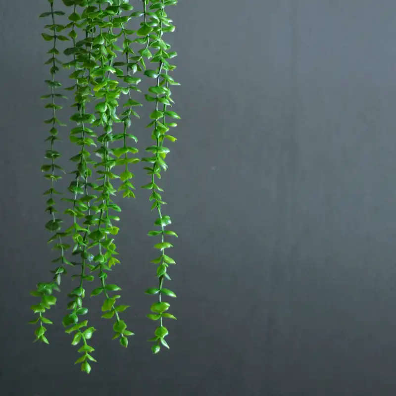 گل مصنوعی مدل آویز شمشاد پا کوتاه