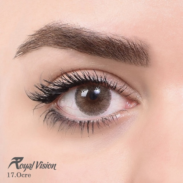 لنز چشم رویال ویژن شماره 17 مدل Ocre رنگ قهوه ای شکلاتی