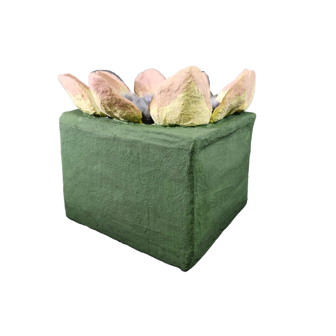 جای خواب گربه مدل دوطبقه