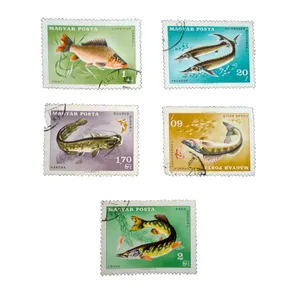 تمبر یادگاری طرح طبیعت مدل ماهی کد fish-532 مجموعه 5 عددی