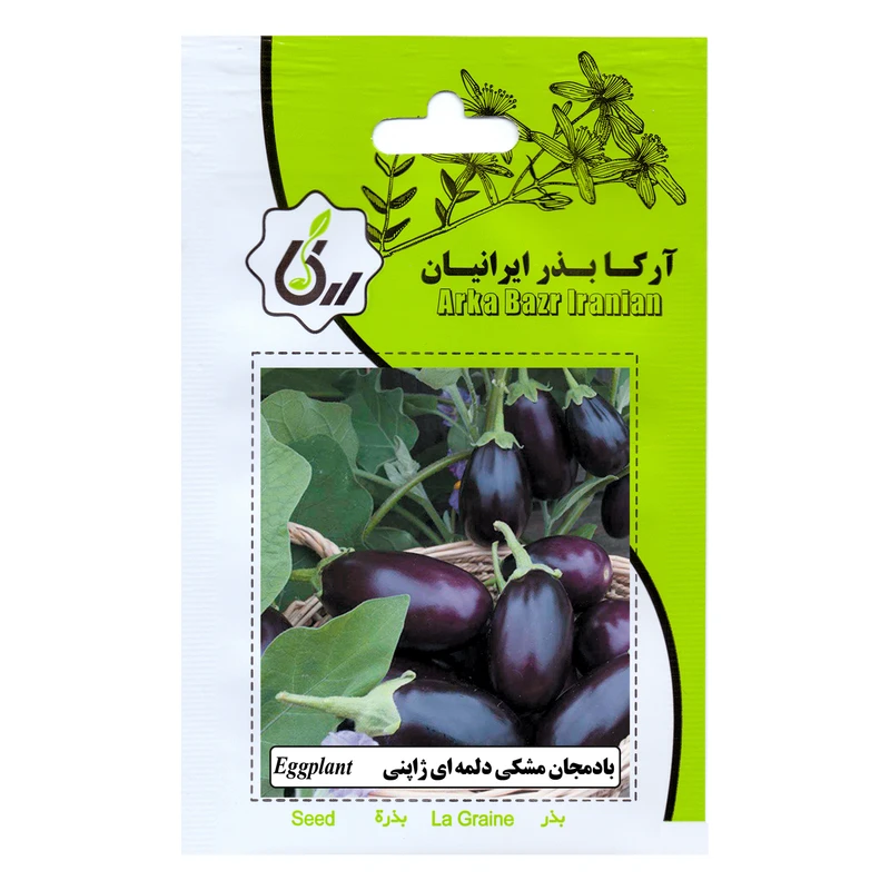 بذر بادمجان مشکی دلمه ای ژاپنی آرکا بذر ایرانیان کد ARK-171