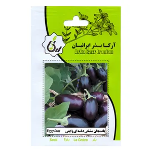 بذ ربادمجان مشکی دلمه ای ژاپنی آرکا بذر ایرانیان مدل B68