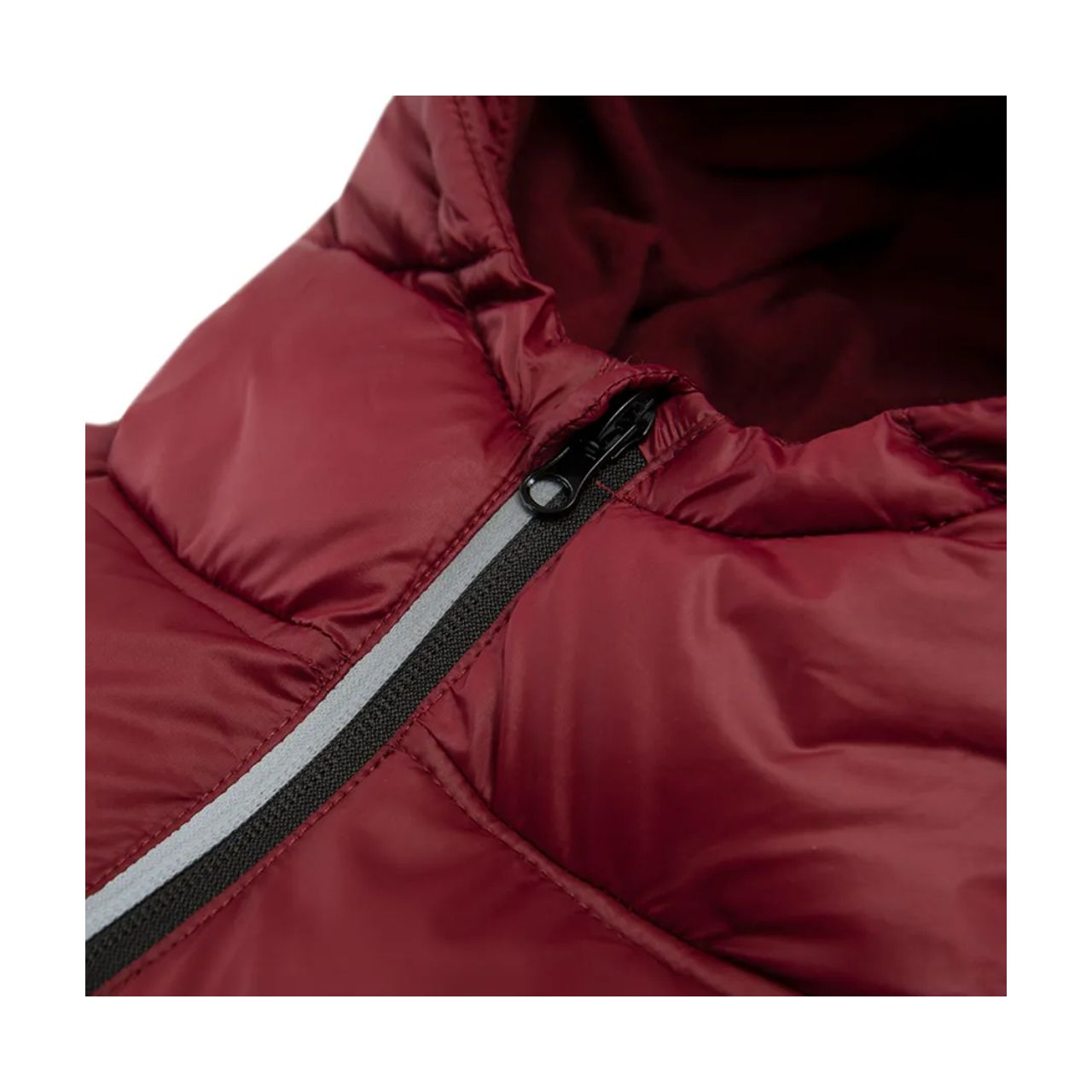 کاپشن پسرانه کول کلاب کد 667 مدل SH -  - 2