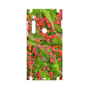 MAHOOT Atom Universe 3-FullSkin Cover Sticker for Motorola One Macro