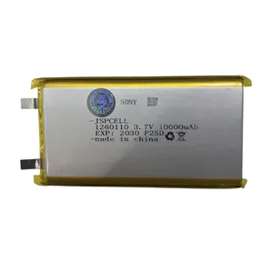 باتری لیتیومی سونی مدل پلیمری ظرفیت 10000 میلی‌آمپرساعت