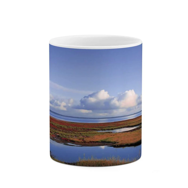 ماگ کاکتی مدل منظره کد mgh10148