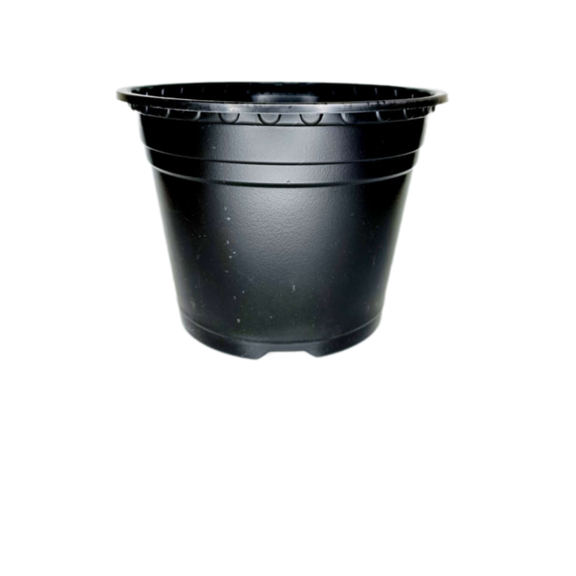 گلدان طرح ژله ای مدل a-19 بسته 10 عددی