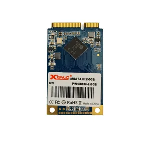 اس اس دی اینترنال مدل mSATA ظرفیت 256 گیگابایت