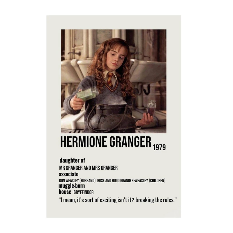 تابلو شاسی مدل هری پاتر HP6