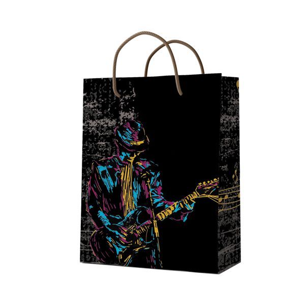 ساک دستی مدل 10269 بسته 12 عددی