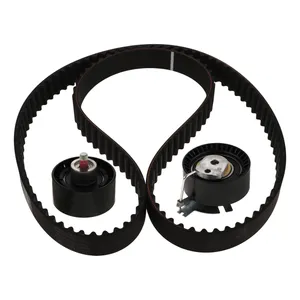 کیت تسمه تایم رایکالتون کد RT1077-134Z مدل 134 دندانه HNBR مناسب برای پژو 206 تیپ 5 و پژو 207