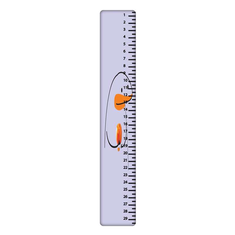 خط کش 30 سانتی متر طرح میقولی کد 2414