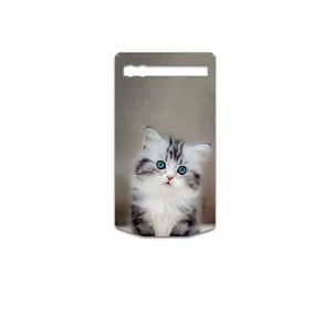 MAHOOT Cat-2 Cover Sticker for BlackBerry Porsche Design P9983