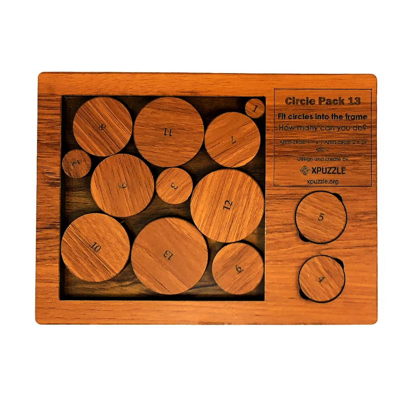 بازی فکری ایکس پازل مدل 13 دایره