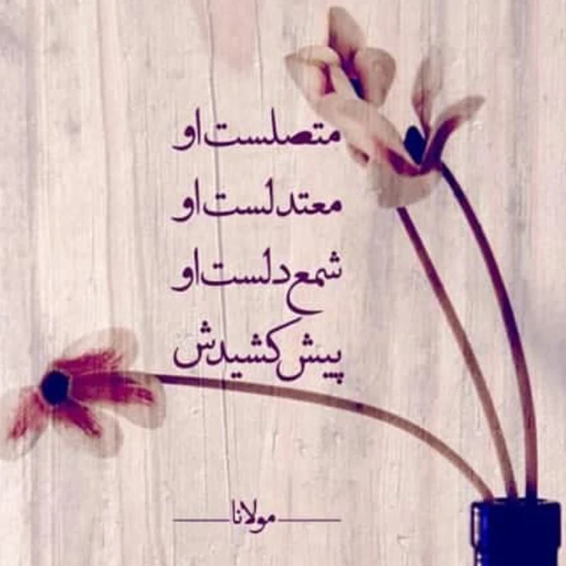 عکس شماره 3