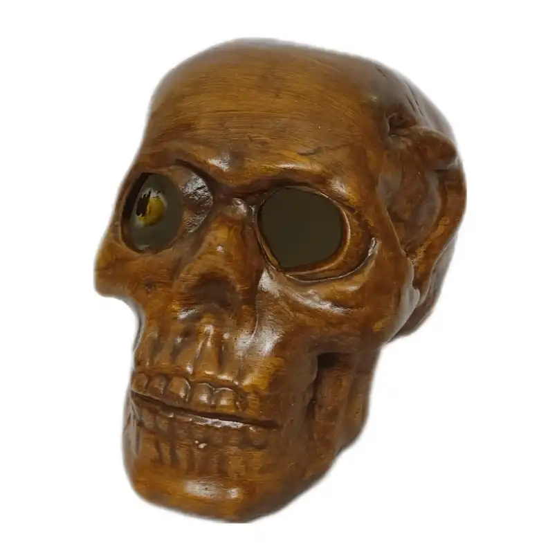 مجسمه مدل اسکلت جمجمه طرح چوب