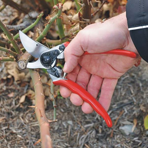 قیچی باغبانی فیلکو مدل 11 قیچی باغبانی فیلکو مدل 11